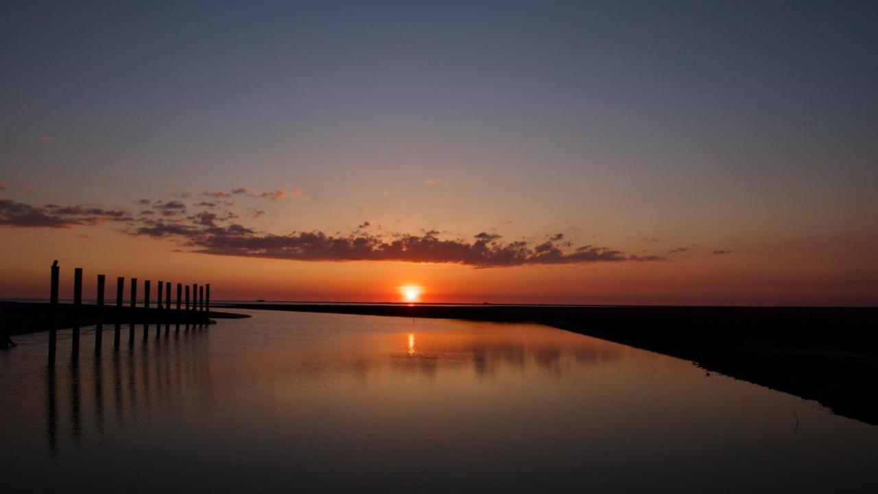 Nordsee Bauernhof Familie Wulff Fewo "Suedfall" Reußenköge Exteriör bild