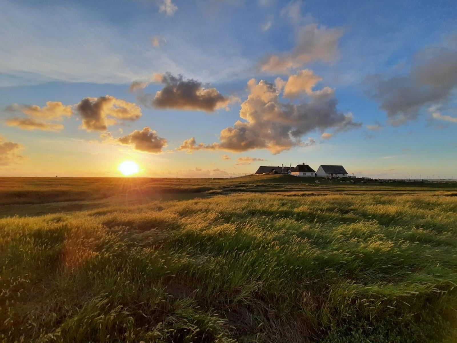 Nordsee Bauernhof Familie Wulff Fewo "Suedfall" Reußenköge Exteriör bild