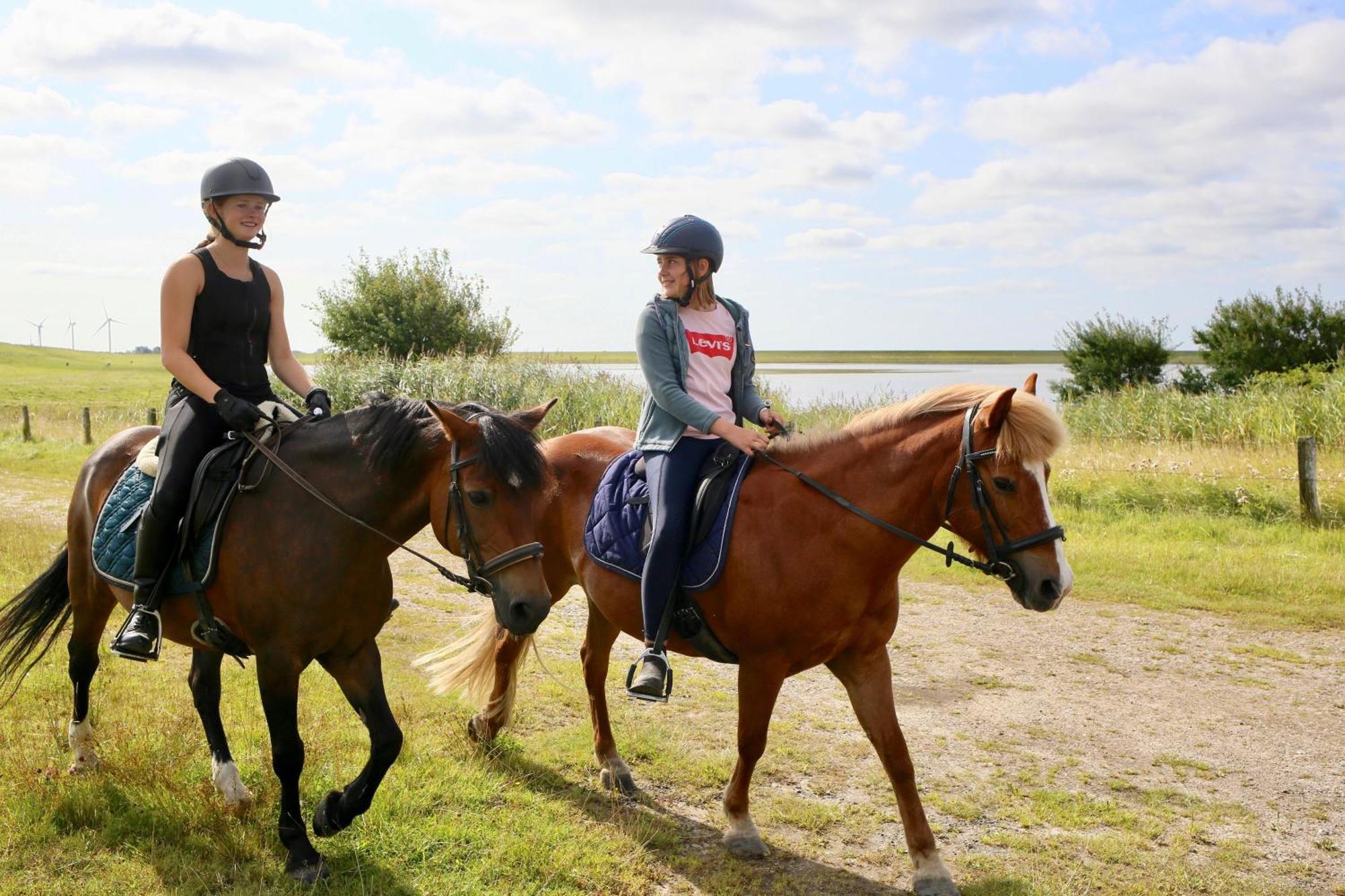 Nordsee Bauernhof Familie Wulff Fewo "Suedfall" Reußenköge Exteriör bild